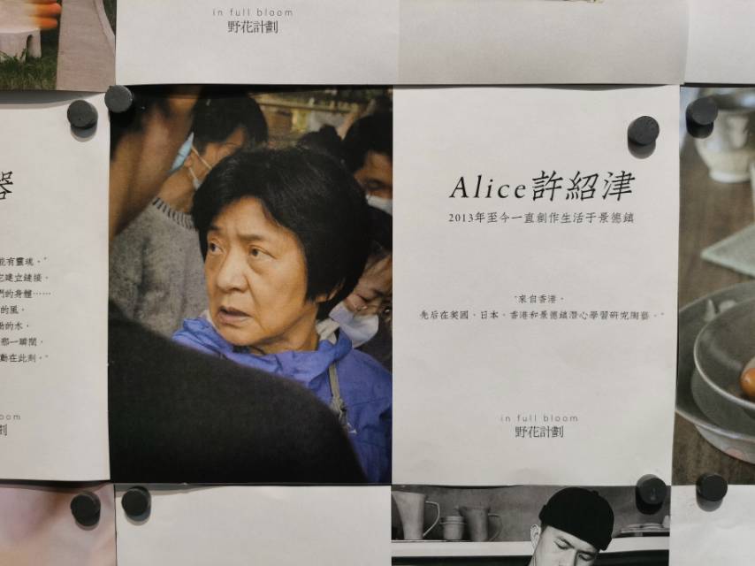Alice 许绍津 野花计划