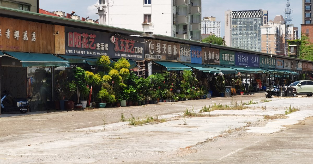 跑了无锡3个花卉市场,200家花店背后藏着什么?